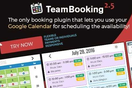 Team Booking for WordPress Booking System Plugin